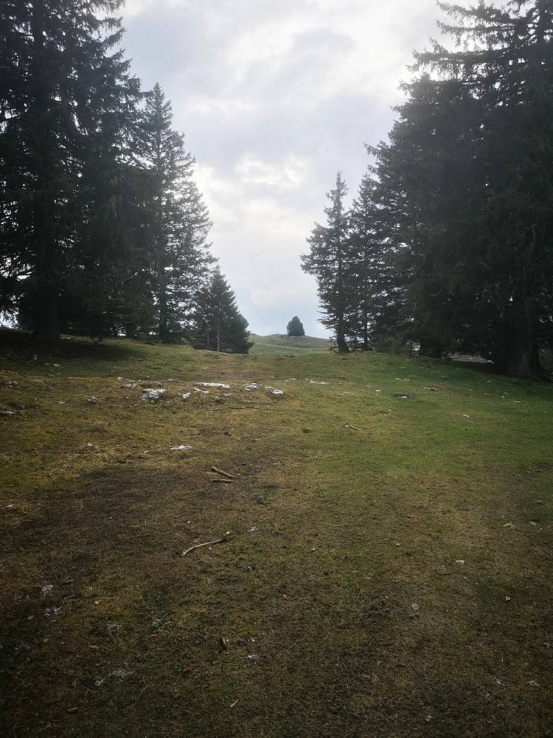 Semnoz la forêt pour toute la famille - Viuz-la-Chiésaz