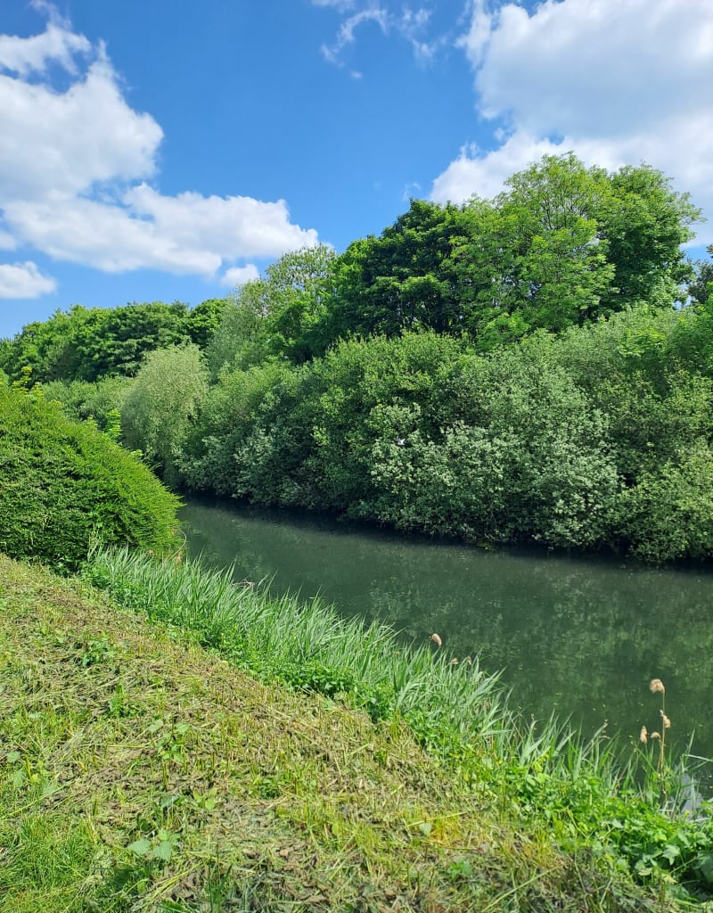 Canal de Lens et Harnes - Harnes