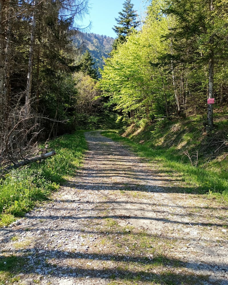 Jusqu'à Aillons depuis le col de Marocaz - La Thuile