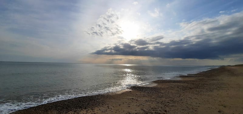 Foret et plage de St-Hilaire-de-Riez - Saint-Hilaire-de-Riez
