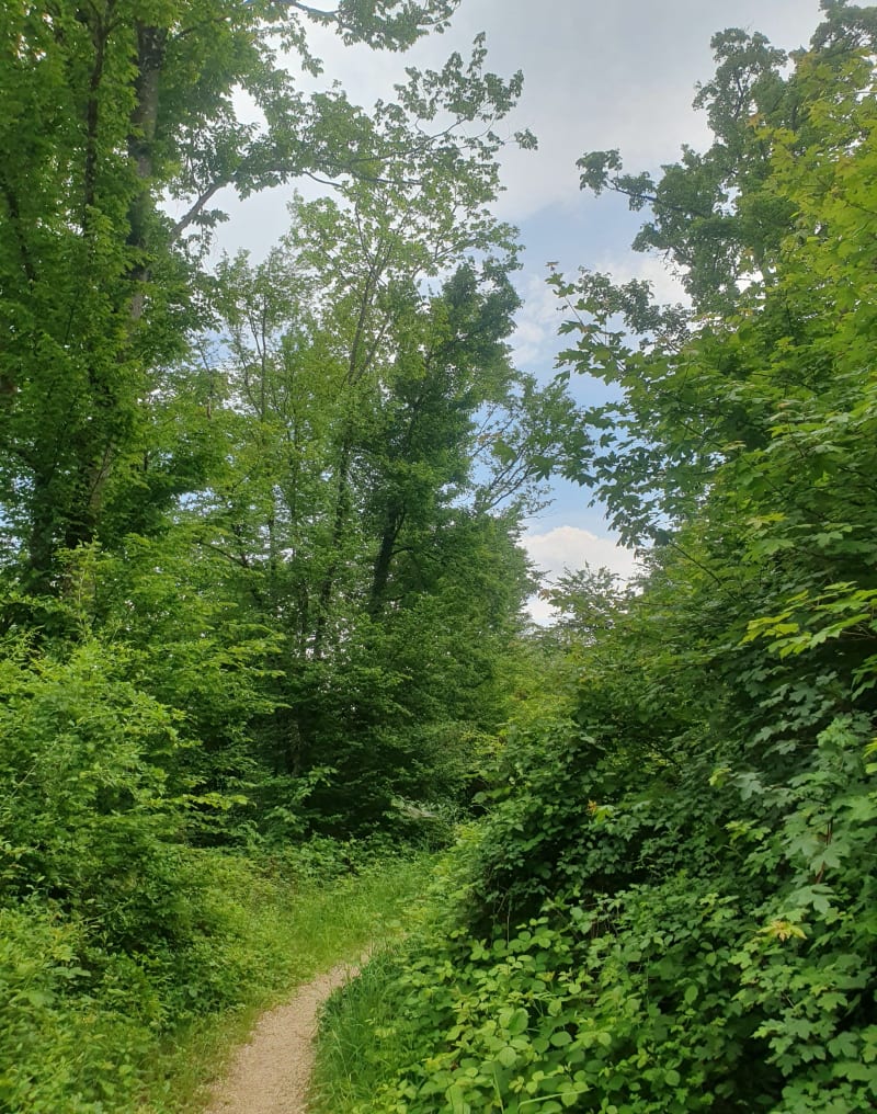 En direction de Chailluz et Palente - Besançon