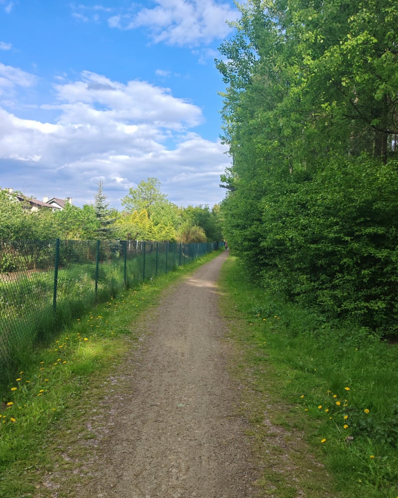 Trasa lasami Kąckimi - Chrzanów