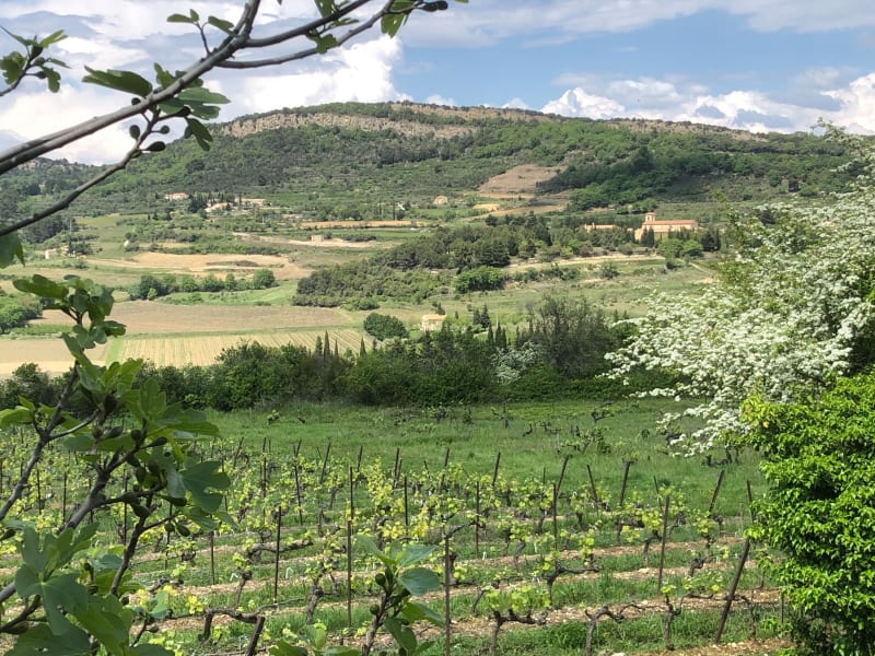 De Malaucène au Barroux - Malaucène