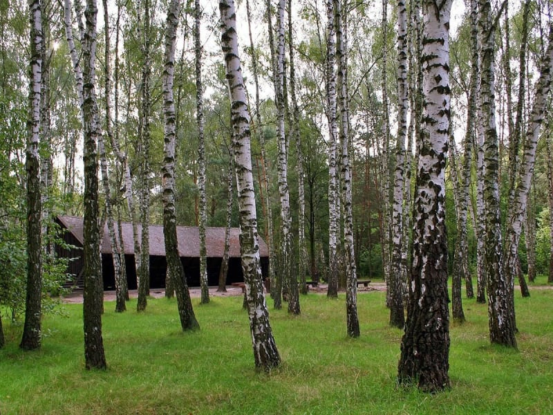 Zimne Doły - Zalesie Górne