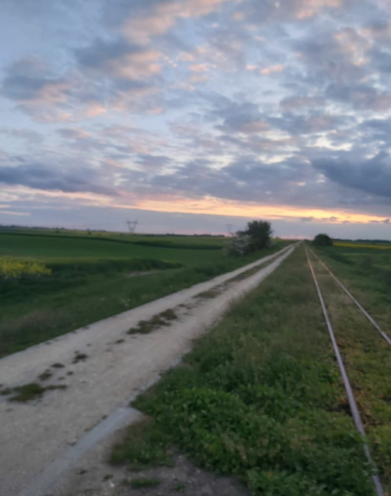 Ścieżką rowerową - Jasionna