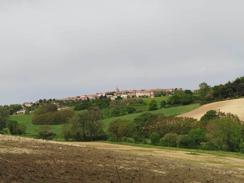 Petite boucle de Labarthe - Puylaurens