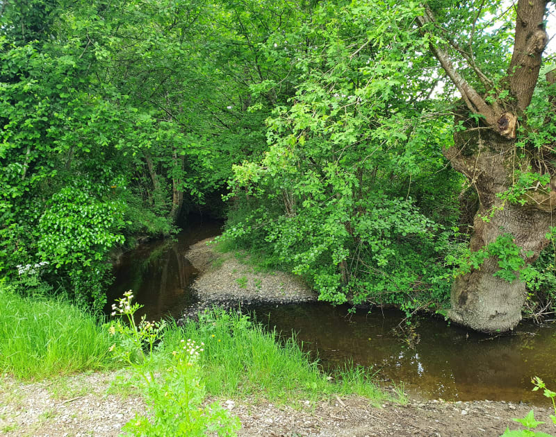 Randonnée vers les étangs de Grandchamp et Brossais - Grandchamp-des-Fontaines