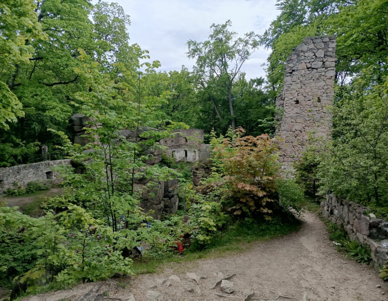 Ruiny zamku Bolczów - Janowice Wielkie