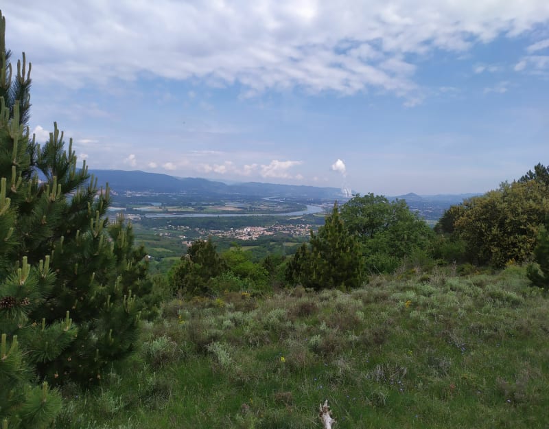 Balade entre Châteauneuf et Donzère par le Fourfouillet - Malataverne