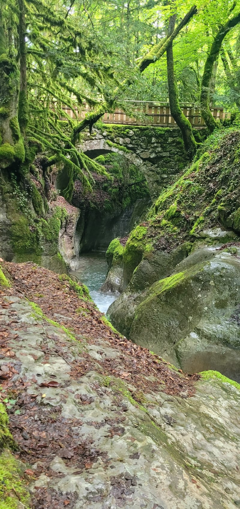 Cascade D'Angon et Pont des fées - Talloires-Montmin