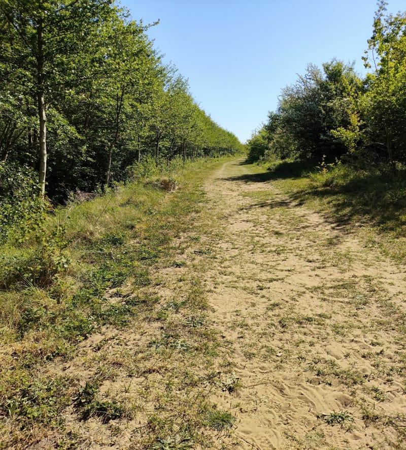 Rando plage et forêt du ruisseau à tabac - Merlimont