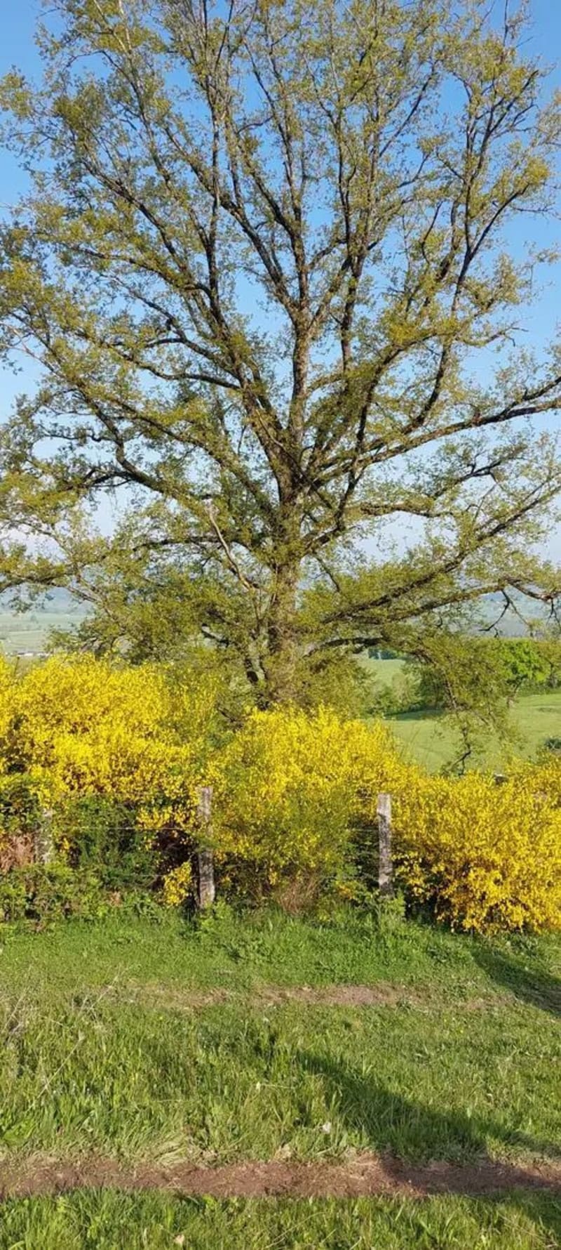 Boucle autour d'Étang-sur-Arroux - Étang-sur-Arroux