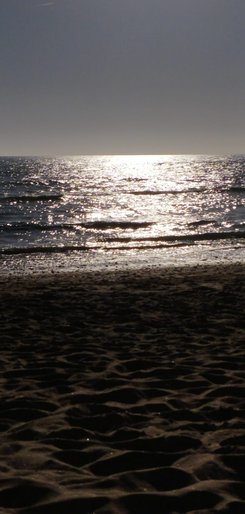 Les marais d'Olonne-sur-Mer - Les Sables-d'Olonne