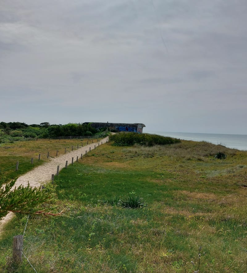 Boucle entre bois, dune, plage et histoire au Bois-Plage-en-Ré - Le Bois-Plage-en-Ré