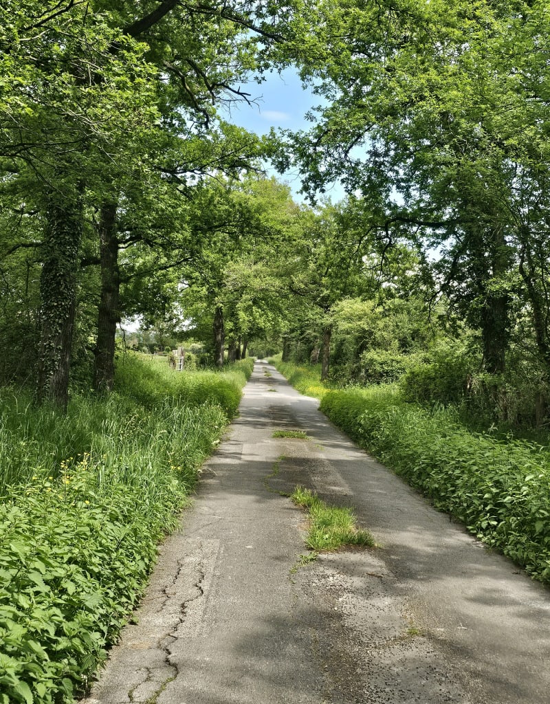 Petite marche à Sainte Foy Saint Sulpice - Sainte-Foy-Saint-Sulpice