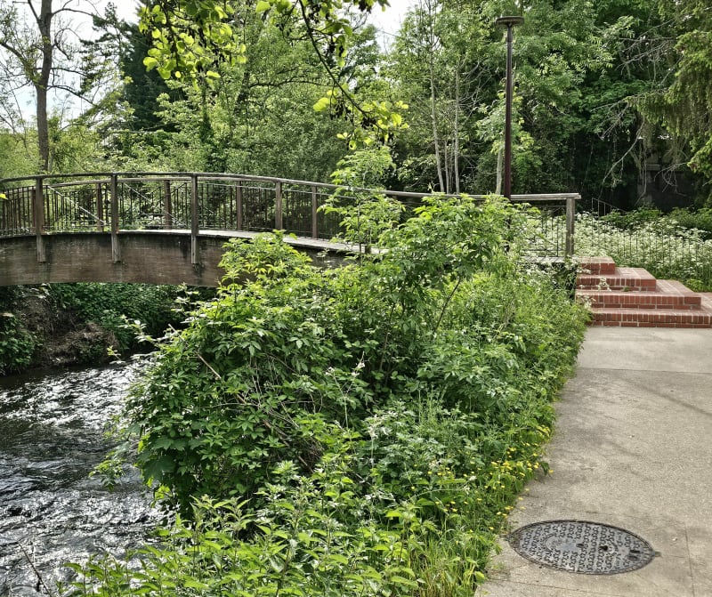 Balade en bord de l'Eure depuis Le Vaudreuil - Le Vaudreuil