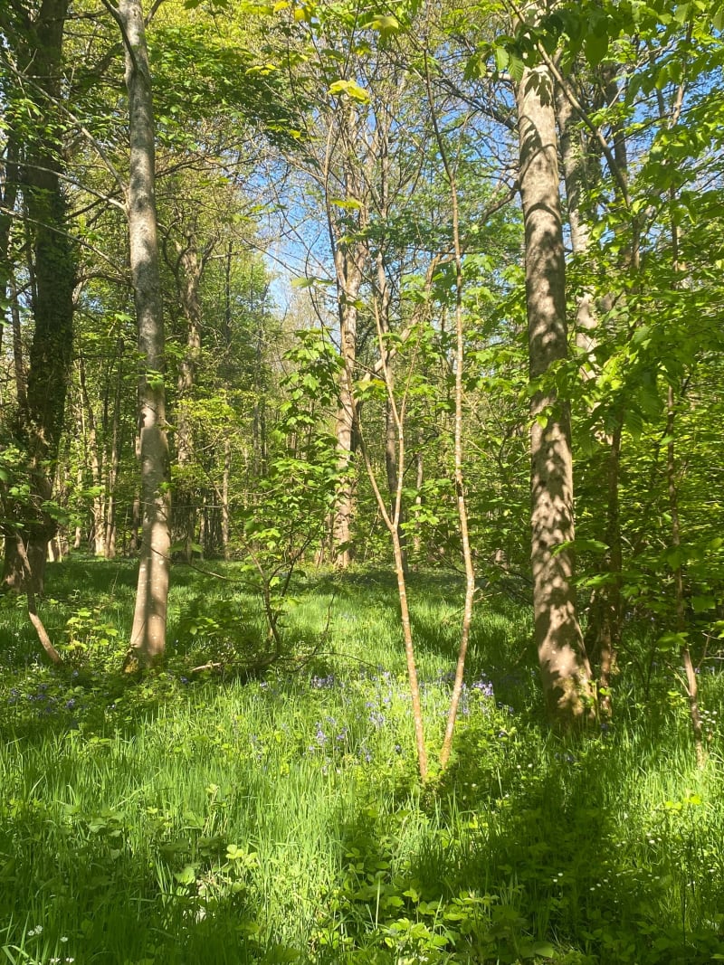 Balade gourmande de Licques - Licques