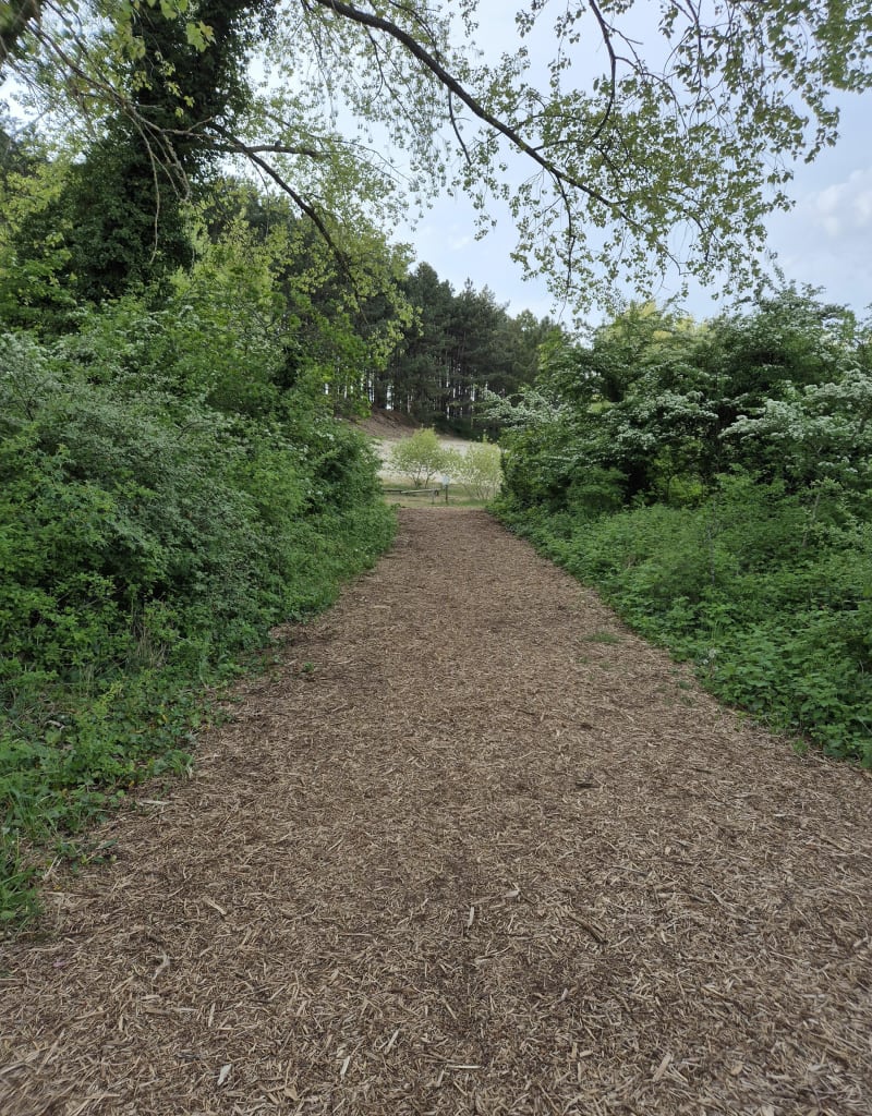 Entre dunes et forêt au départ de Merlimont - Merlimont