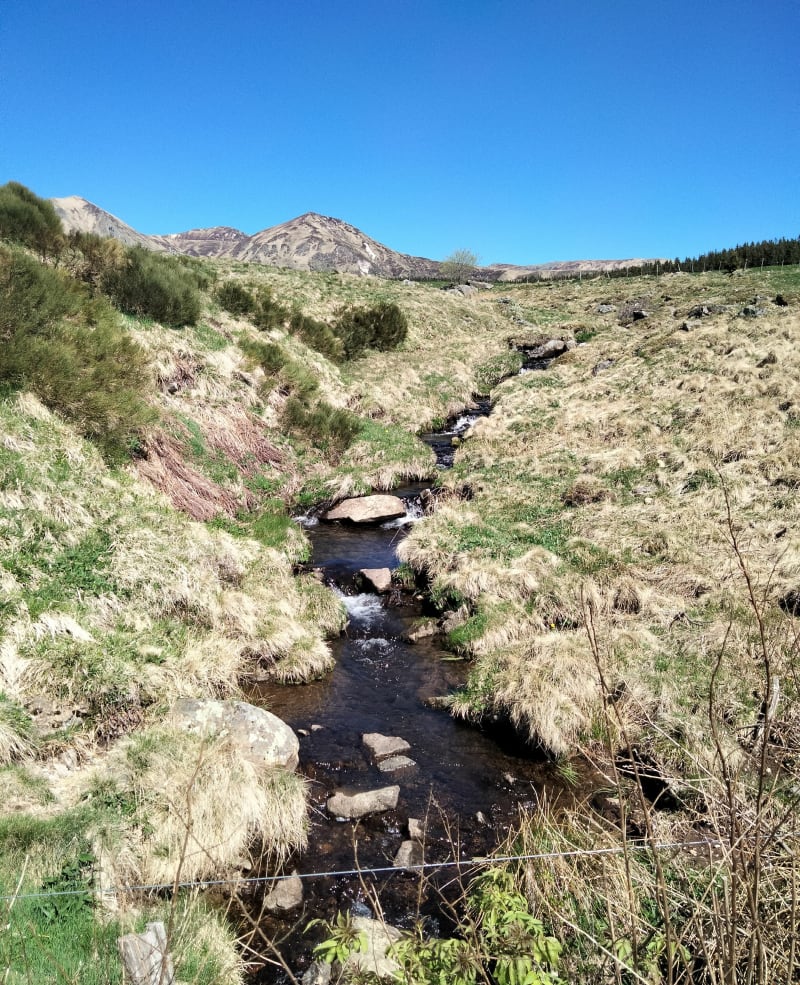 8 km sur le sentier de la vallée de la Fontaine Salée - Chastreix