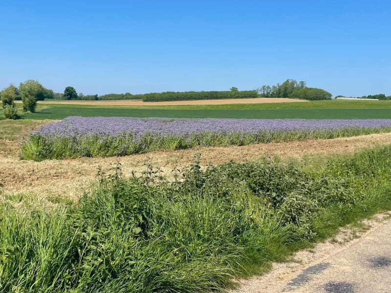 Direction la Dombes au départ de Lyon - Lyon
