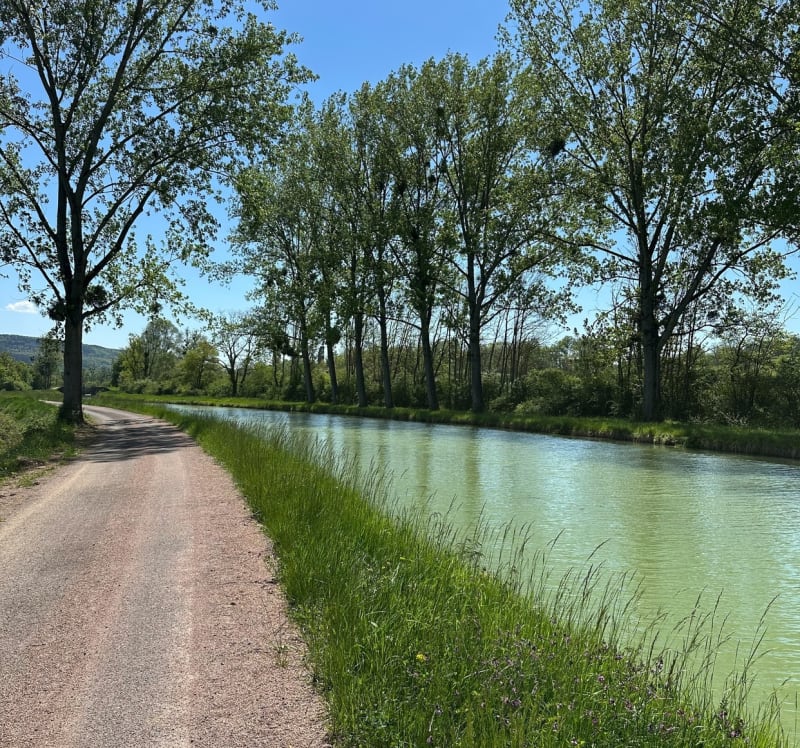 Chemin de halage depuis Venarey-les-Laumes - Venarey-les-Laumes