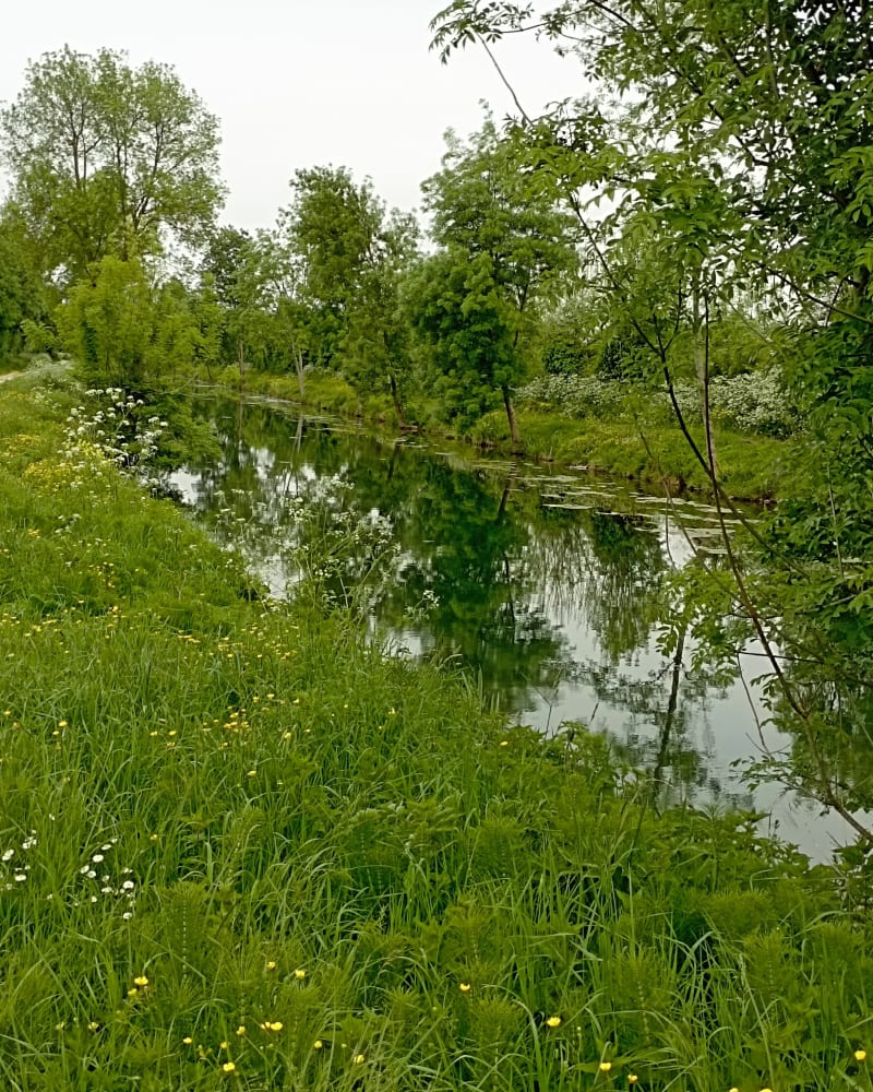 Mauzé sur le mignon, bourg et campagne - Mauzé-sur-le-Mignon