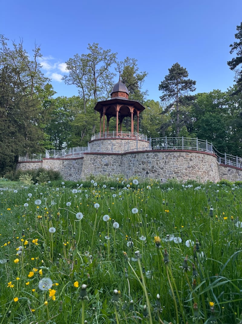 Park młodzieżowy w Świdnicy. Tropem dawnych fortyfikacji - Świdnica