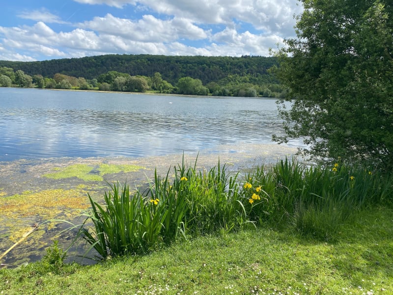 Balade vélo Léry au lac d’Acquiny - Léry