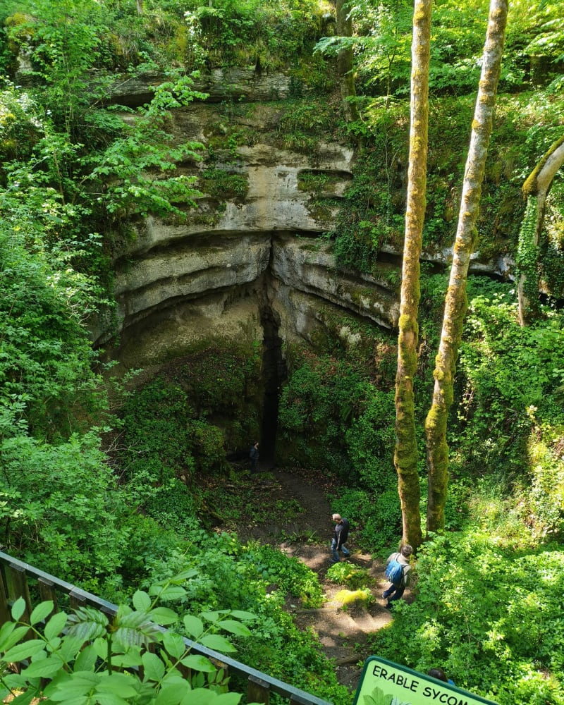 Sentier karstique - Les Monts-Ronds