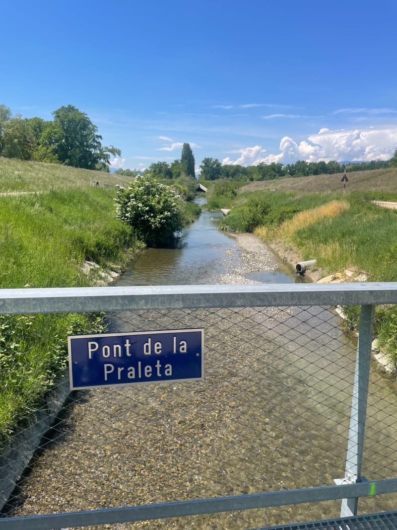 Bord de l’Aire retour par les champs - Saint-Julien-en-Genevois
