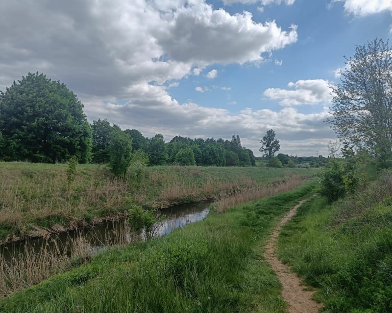 Po wałach Brynicy - Siemianowice Śląskie