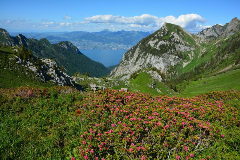 Vue sur les montagnes du Chablais en randonnée.