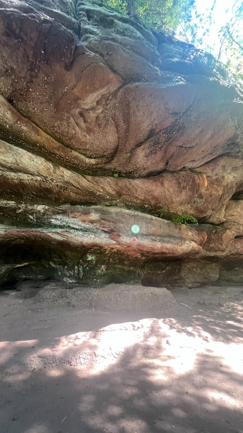 Balade entre forêt et rochers à La Petite Pierre - La Petite-Pierre