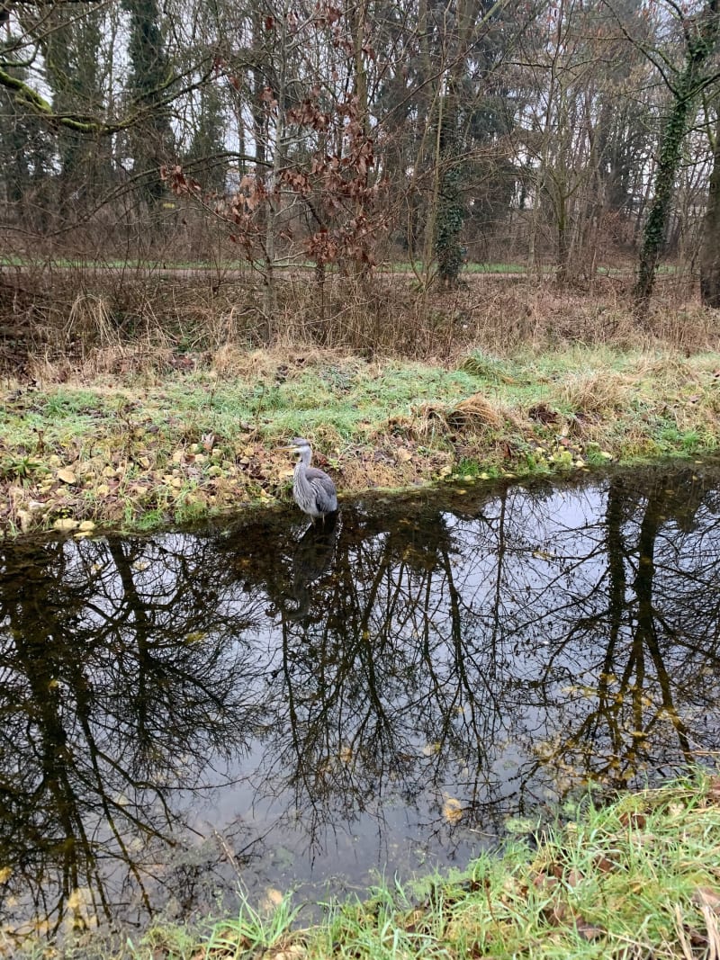 Petit tour du Bois de Vincennes - Nogent-sur-Marne