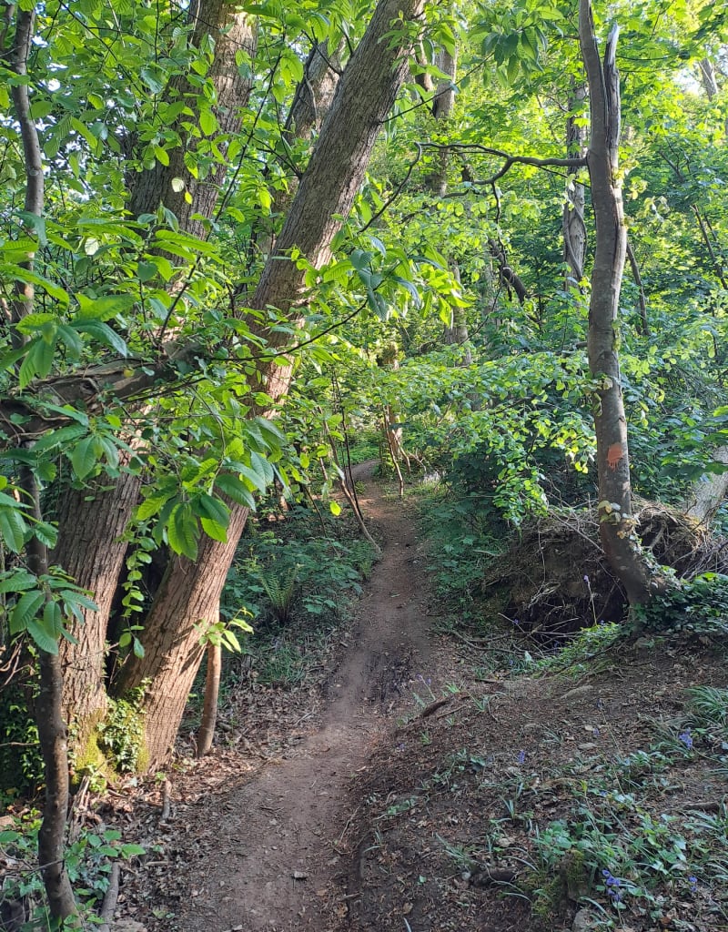 La vallée du Costour - Le Relecq-Kerhuon