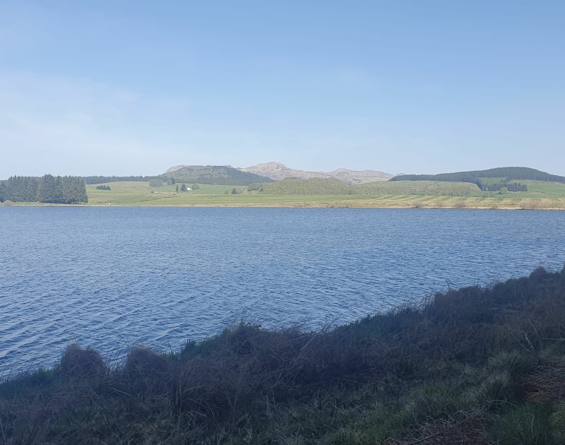 Boucle au lac de Bourdouze - Besse-et-Saint-Anastaise