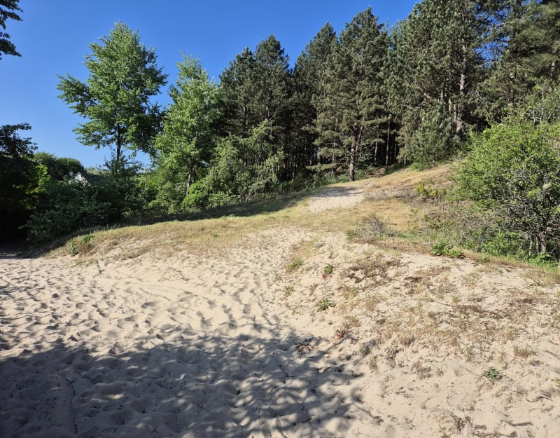 Sentier de la forêt autour de Merlimont - Merlimont