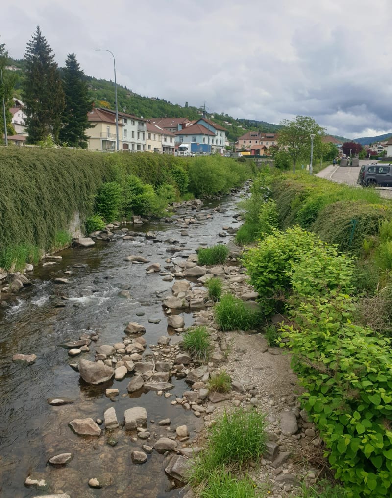 Visite de La Bresse - La Bresse