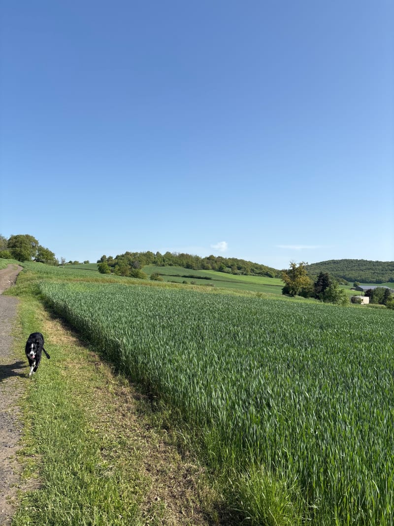 Balade de sainte Florine jusqu’aux Champs - Sainte-Florine
