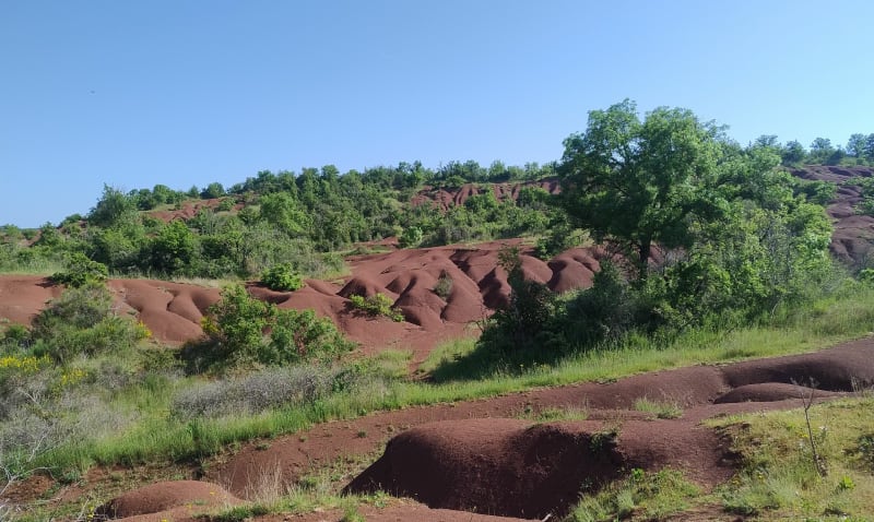 Dunes et Sentier de Maraval - Labarthe-Bleys
