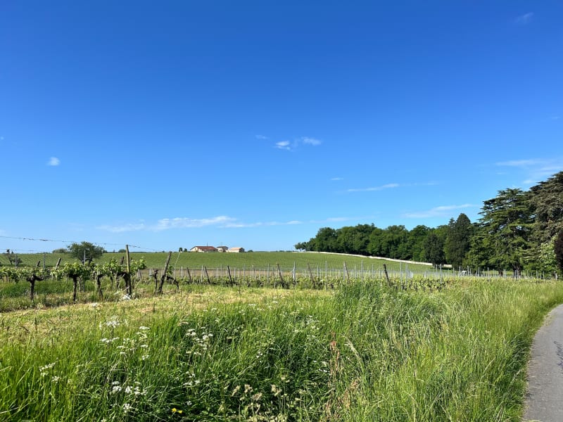 Entre vignobles et sites historiques depuis Cenon - Cenon