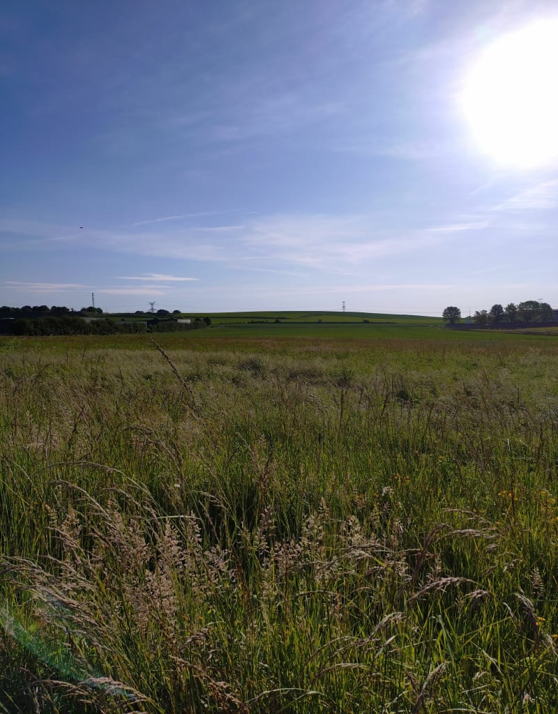 Boucle par les champs à Saint Martin de Fontenay - Saint-André-sur-Orne