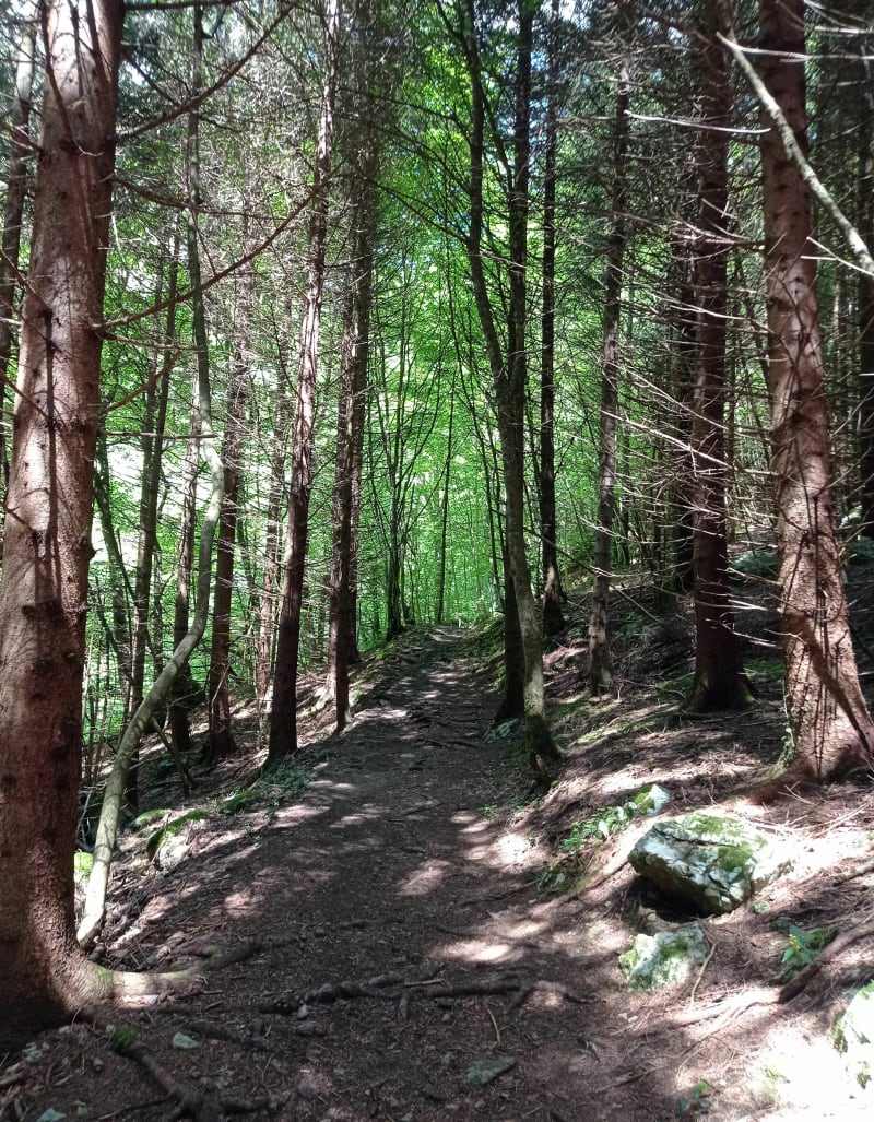Tour du mont Peney - Saint-Jean-d'Arvey