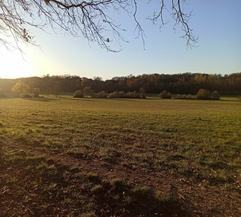 Forêt, traversée de rivière et GR au milieu des champs! - La Salvetat-Saint-Gilles