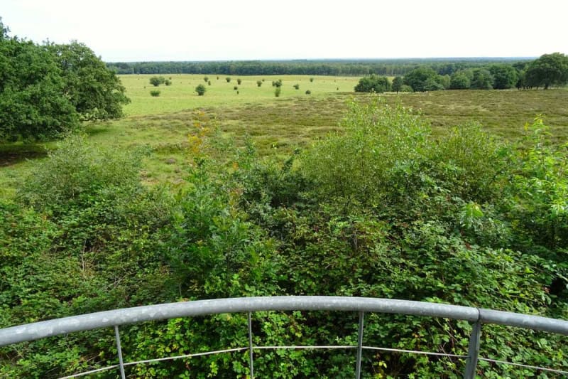 Wandelen in Otterlo, Gelderland - Otterlo