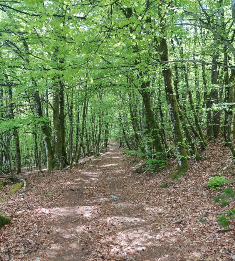 Rando les moulins de Razel - Pérols-sur-Vézère