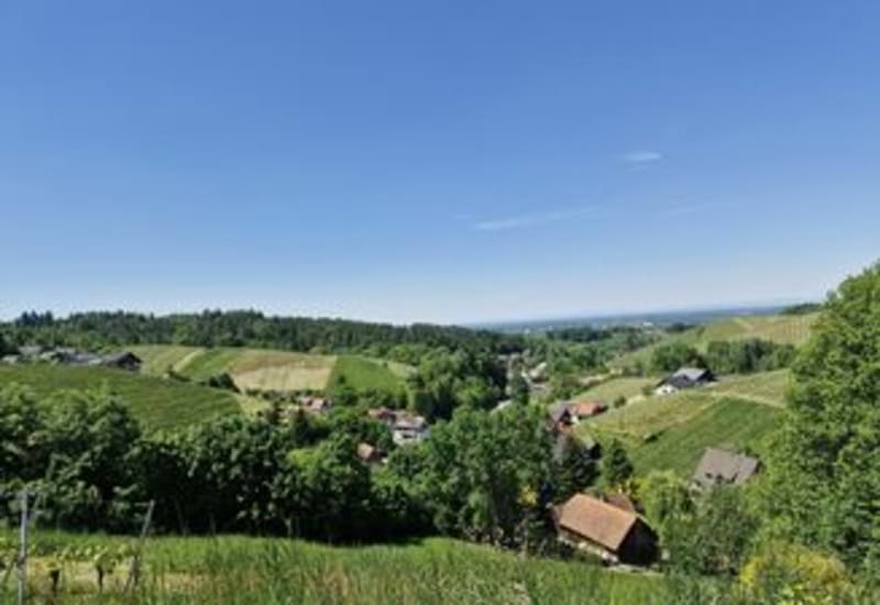 Tormery, Le Tapin, La roche du Guets - Montmélian