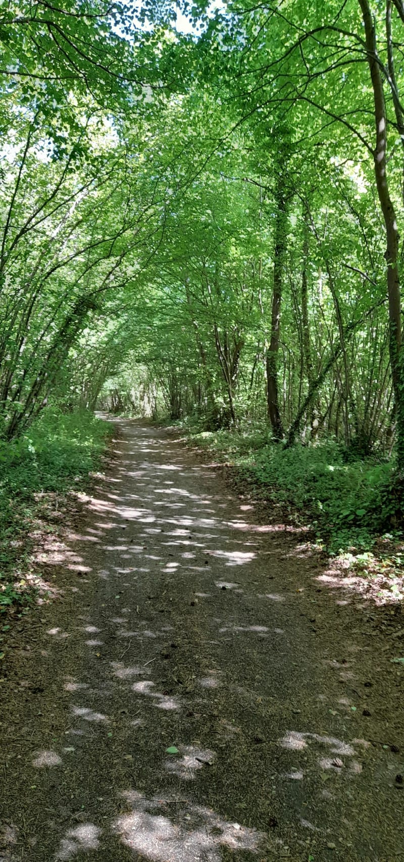 Aux bords de l'eau à Vailly sur Aisne - Vailly-sur-Aisne