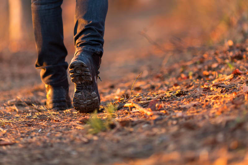 Trois jours de rando dans les Bauges - La Compôte