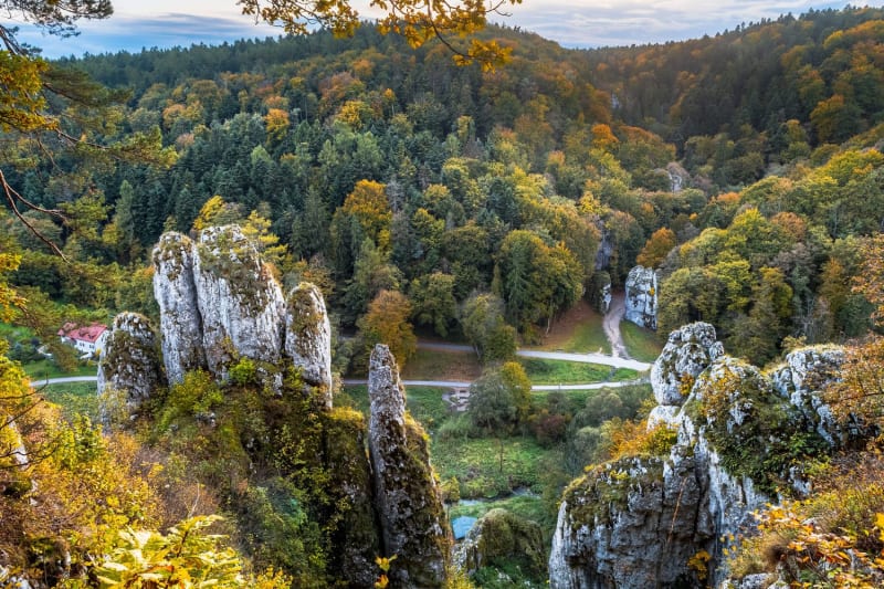 Ojcowski Park Narodowy, las, jesień, polska, małopolska 